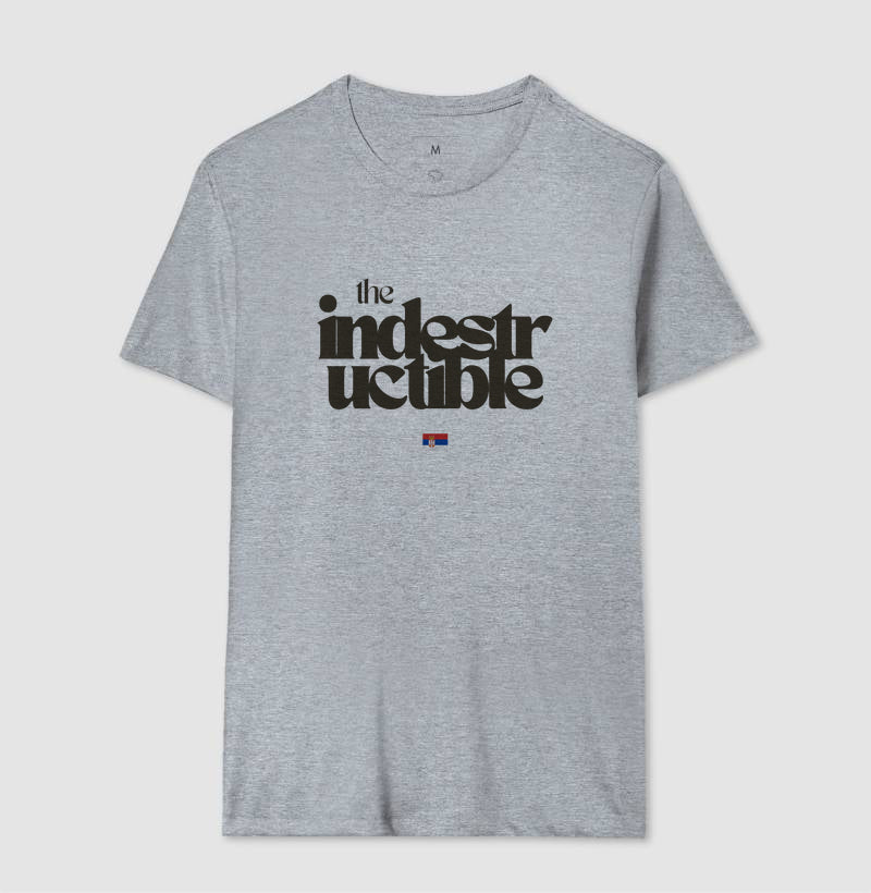 The Indestructible