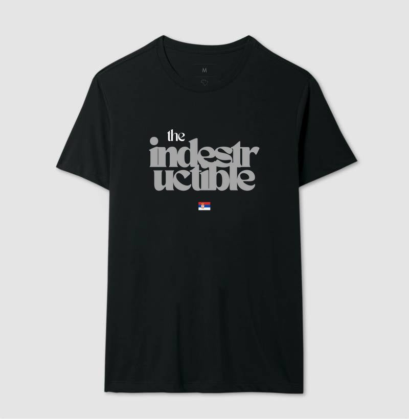 The Indestructible